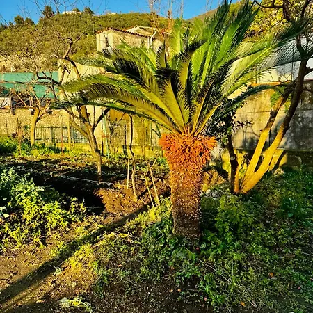Apartmán & Garden