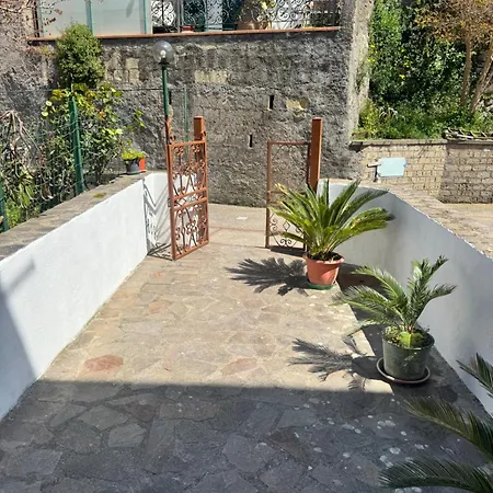 & Garden