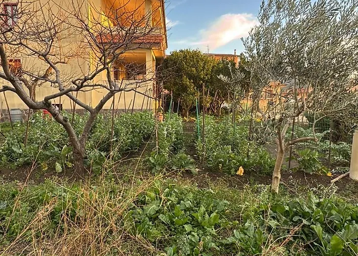 & Garden Вико-Экуенсе