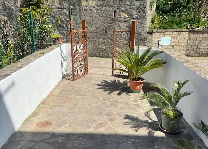 & Garden